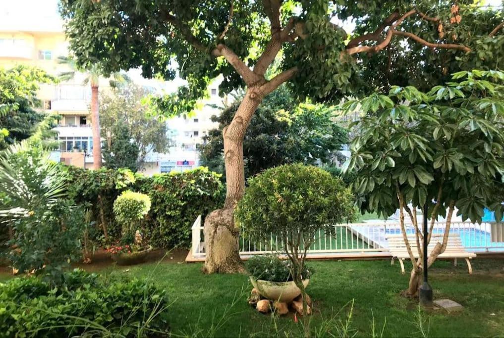 Central Beach Apartment With Free Parking And Pool Marbella Ngoại thất bức ảnh